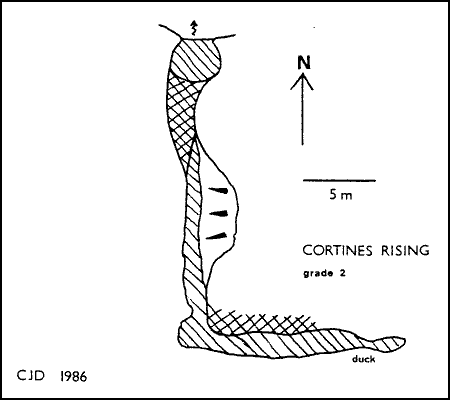 Cortines Rising survey - 6k GIF